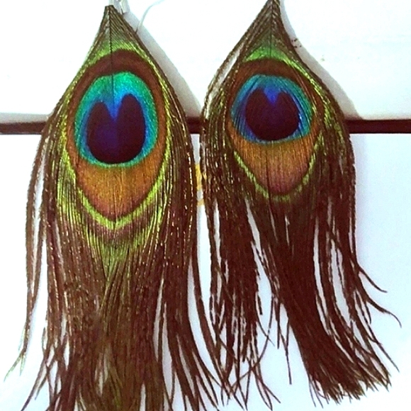 Peacock Feather Earrings on pierced hypoallergenic ss Ear wires. 1 pr Be… - Picture 7 of 10